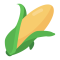 CORN