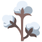 COTTON
